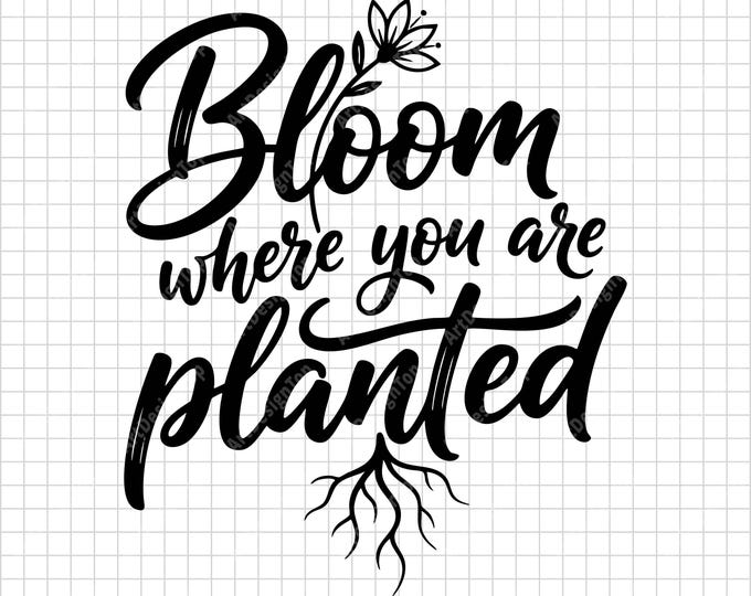 Bloom Where You Are Planted SVG | Inspirational Quote Shirt Design | Positive Nature Cut File