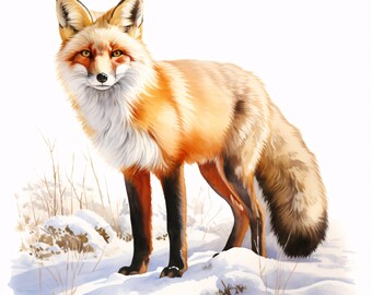 Winter Fox Clipart, Snow Forest Animal Images, 10 Watercolor Clip Art, Printable JPGs, Instant Download, Commercial Use, Paper craft