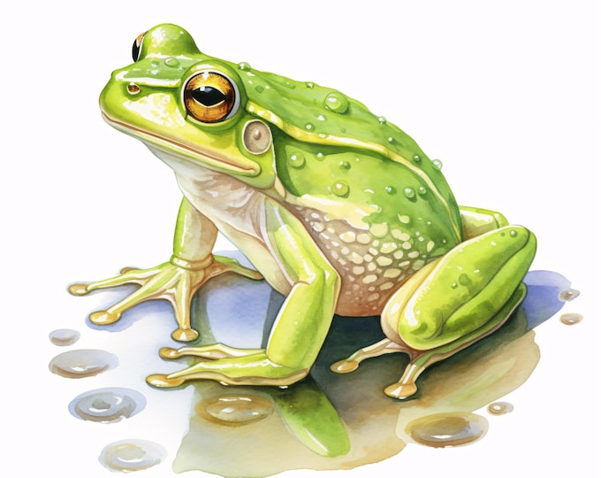 Frog Clipart, Cute Animal Images, 10 Watercolor Clip Art, Printable JPGs, Instant Download, Commercial Use, Paper craft