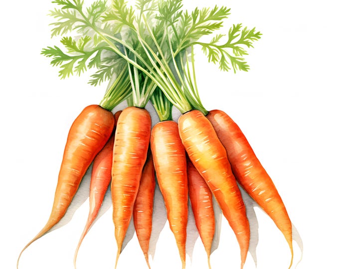 Farm Carrots Clipart, Carrots Images, 10 Watercolor Clip Art, Printable JPGs, Instant Download, Commercial Use, Paper craft