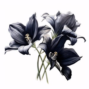 Watercolor Black Flowers Clipart: Dark Floral JPG Images, Commercial Use (Instant Download 4096x4096px)