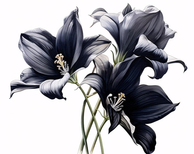 Watercolor Black Flowers Clipart: Dark Floral JPG Images, Commercial Use (Instant Download 4096x4096px)