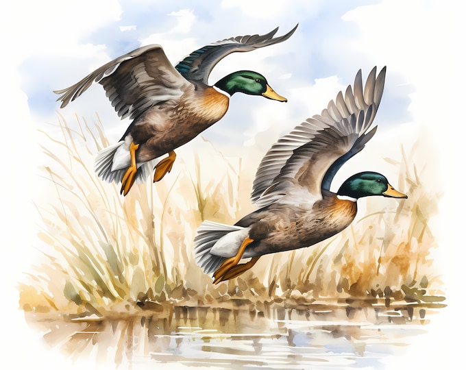 Flying Ducks Clipart, Farm Ducks Images, 10 Watercolor Clip Art, Printable JPGs, Instant Download, Commercial Use, Paper craft