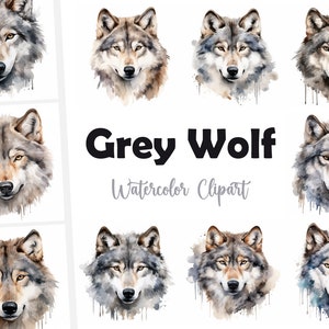 12 Wolf, Gray Wolf JPG, Forest Animal, Watercolor clipart, High Quality JPGs, Digital Download, High Resolution, Commercial Use