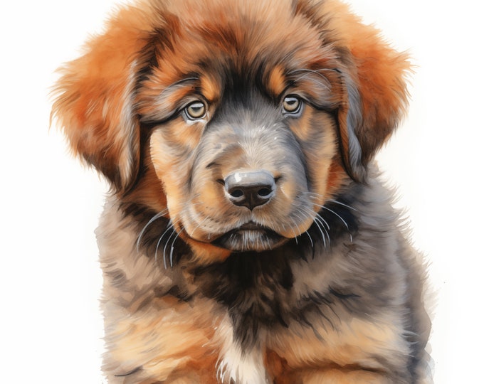 Tibetan Mastiff Dog Clipart, Puppy Dog Images, 10 Watercolor Clip Art, Printable JPGs, Instant Download, Commercial Use, Paper craft