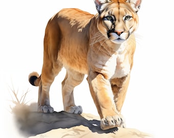 Imágenes prediseñadas de pumas en acuarela: 10 imágenes imprimibles de felinos salvajes (uso comercial)