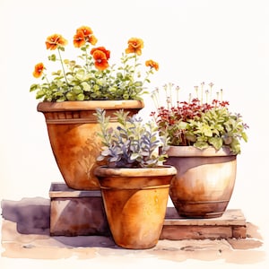 Puede incluir: Pintura a la acuarela de tres macetas de terracota llenas de flores y vegetación coloridas. La maceta más grande presenta flores de color naranja vibrante, mientras que las otras muestran flores rojas y moradas. Las macetas están dispuestas sobre una superficie de piedra.