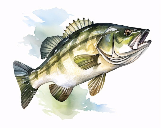 Bass Fish Clipart, Fishing Wildlife Images, 10 Watercolor Clip Art, Printable JPGs, Instant Download, Commercial Use, Paper Craft