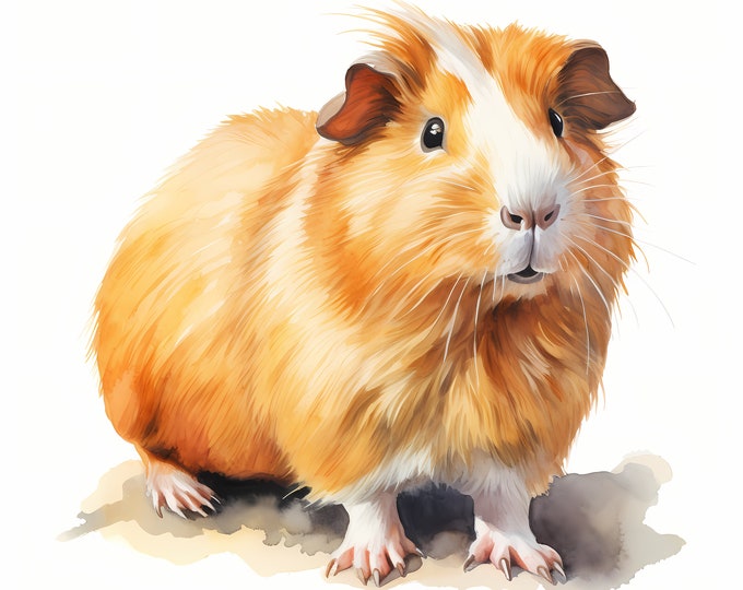 Guinea Pig Clipart, Pet Images, 10 Watercolor Clip Art, Printable JPGs, Instant Download, Commercial Use, Paper craft