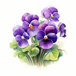 Fioletowe kwiaty Clipart, Fioletowe Bukietowe Obrazy, 10 Akwareli Clip Art, Wydrukowalne JPG, Natychmiastowe Pobieranie, Użytkowanie Komercyjne, Papierowe Rękodzieło