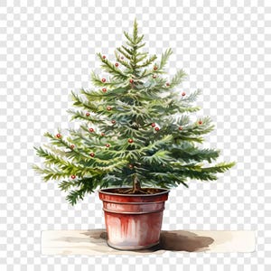 Peut inclure: Une illustration à l'aquarelle d'un sapin de Noël vert planté dans un pot de couleur terre cuite. L'arbre présente des branches aux aiguilles texturées décorées de petites boules rouges rondes dispersées dans le feuillage sur fond transparent.