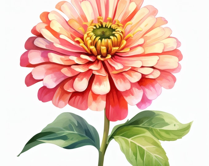 Zinnia Flower Clipart, Bright Bloom Images, 10 Watercolor Clip Art, Printable JPGs, Instant Download, Commercial Use, Paper craft