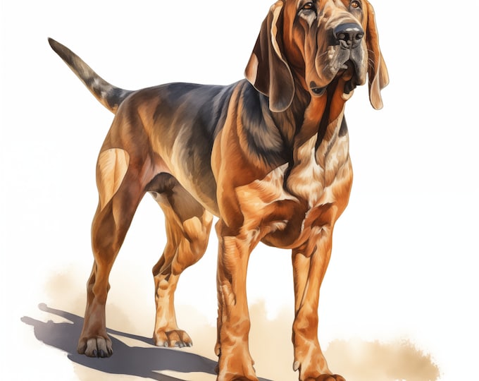 Bloodhound Clipart, Bloodhound Dog Images, 10 Watercolor Clip Art, Printable JPGs, Instant Download, Commercial Use, Paper craft