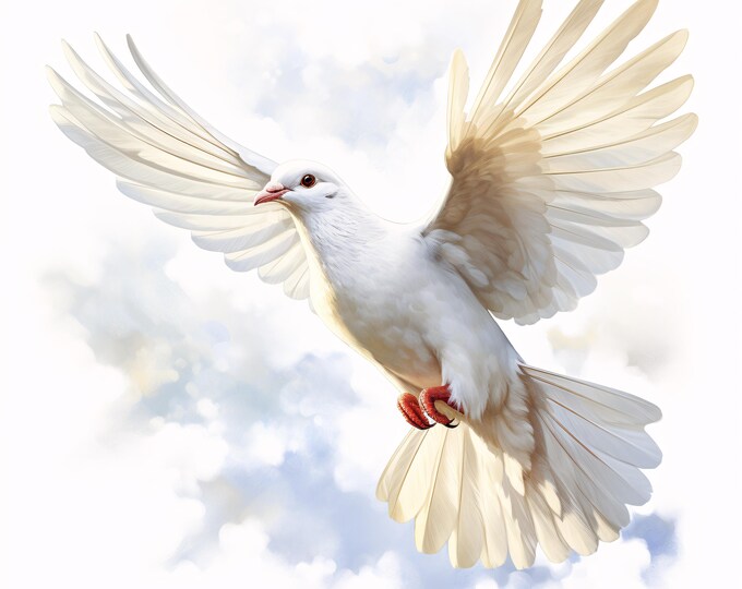 White Dove Clipart, Peace Bird Images, 10 Watercolor Clip Art, Printable JPGs, Instant Download, Commercial Use, Paper craft