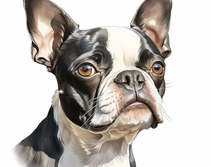Boston Terrier Clipart, Terrier Dog Images, 10 Watercolor Clip Art, Printable JPGs, Instant Download, Commercial Use, Paper craft