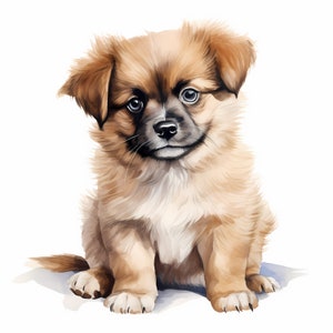 Tibetan Spaniel Dog Clipart, Puppy Dog Images, 10 Watercolor Clip Art, Printable JPGs, Instant Download, Commercial Use, Paper craft