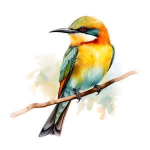 May include: A colorful bird with a long, thin beak perched on a branch. The bird has a yellow chest, green back, and blue tail feathers. The background is a watercolor wash of light blue and green.