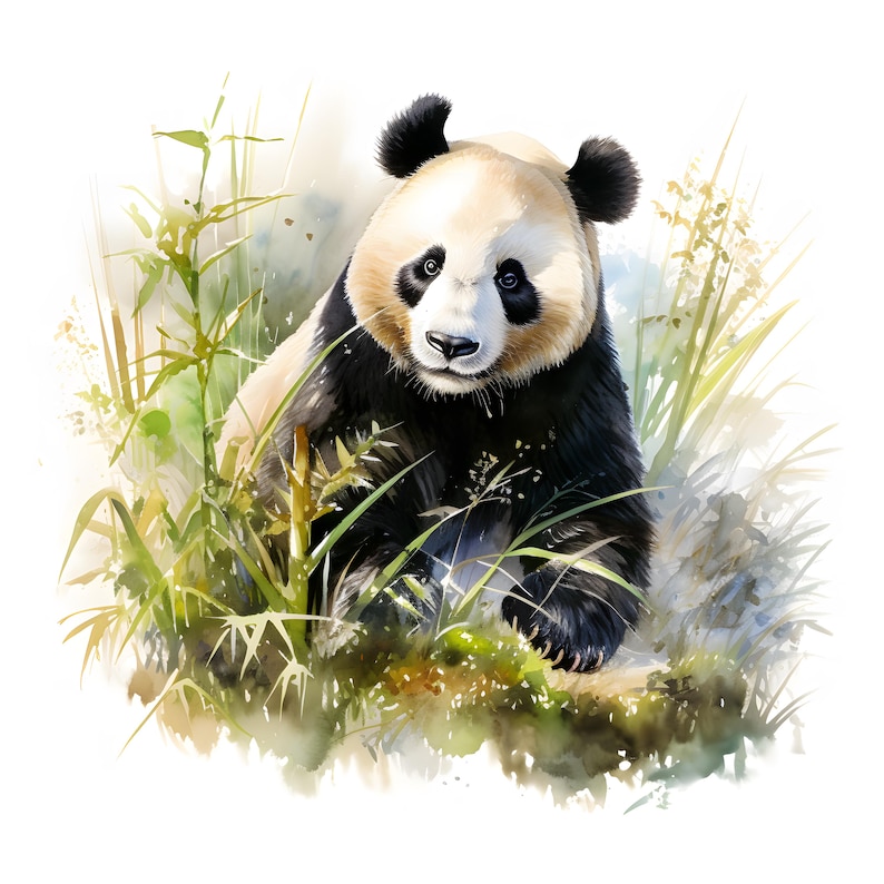 May include: A black and white panda bear sitting in a lush green bamboo forest. The panda is looking directly at the viewer with a curious expression. The background is a soft watercolor wash of green and brown.