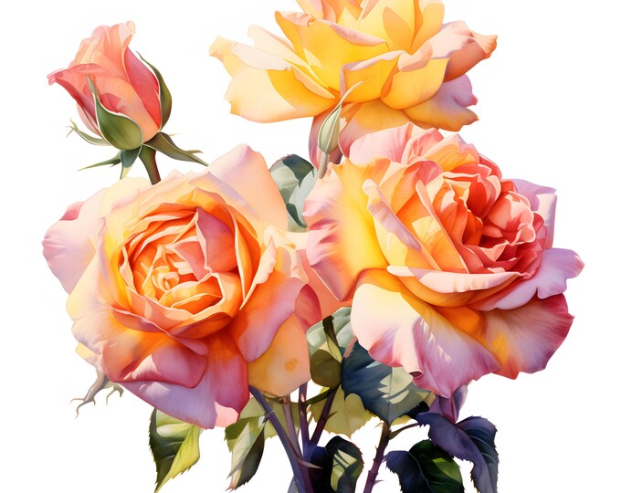 Roses Clipart, Roses Bouquet Images, 10 Watercolor Clip Art, Printable JPGs, Instant Download, Commercial Use, Paper craft