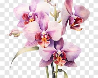 Watercolor Orchid Clipart: 10 PNG Floral Images (Digital Download)