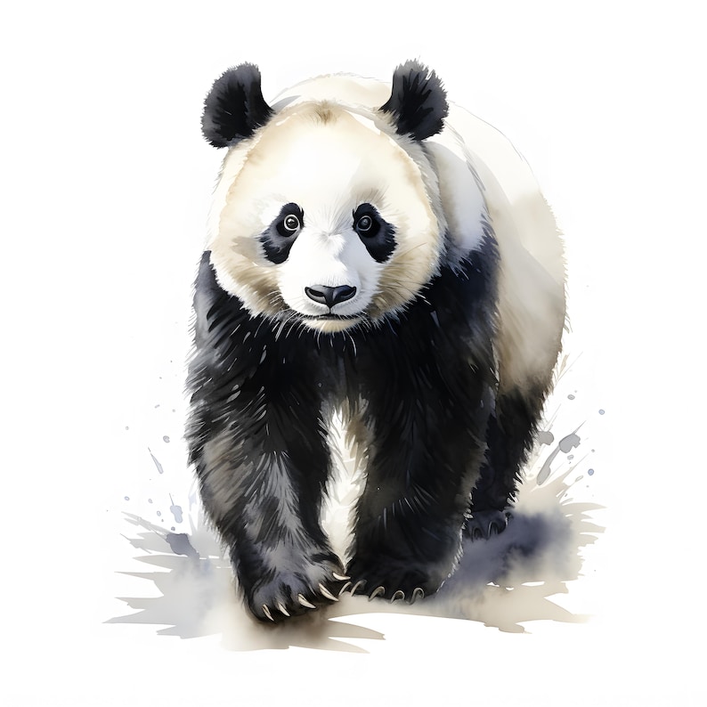 May include: A watercolor painting of a black and white panda bear walking towards the viewer. The panda is in focus, and the background is blurred.