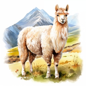 Llama Clipart, Farm Llama Images, 12 Watercolor Clip Art, Printable JPGs, Instant Download, Commercial Use, Paper craft