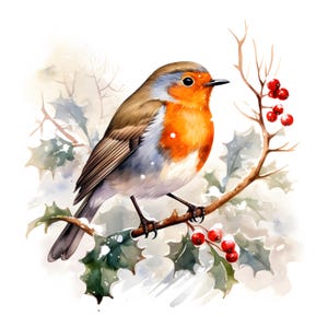 Images clipart rouge-gorge d'hiver, oiseau sur une branche enneigée, 10 images clipart aquarelle, fichiers JPG imprimables, téléchargement immédiat, usage commercial, créations en papier