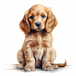 Clipart cocker spaniel, images de chiot, 10 cliparts aquarelle, fichiers JPG imprimables, téléchargement immédiat, usage commercial, créations en papier