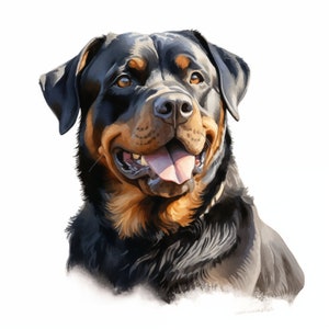 Rottweiler clipart, Rottweiler hond afbeeldingen, 10 aquarel illustraties, afdrukbare JPG's, Instant Download, Commercieel gebruik, Papercraft
