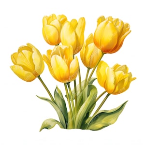 Clipart tulipes jaunes, Images de fleurs de tulipes, 10 cliparts aquarelle, fichiers JPG imprimables, téléchargement immédiat, usage commercial, créations en papier