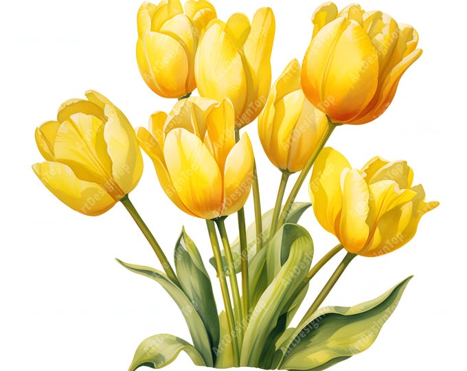 Yellow Tulips Clipart, Tulip Flowers Images, 10 Watercolor Clip Art, Printable JPGs, Instant Download, Commercial Use, Paper craft