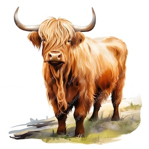Clipart Schotse hooglanders, afbeeldingen boerderijkoeien, 10 aquarel-illustraties, afdrukbare JPG's, Instant Download, Commercieel gebruik, Papercraft