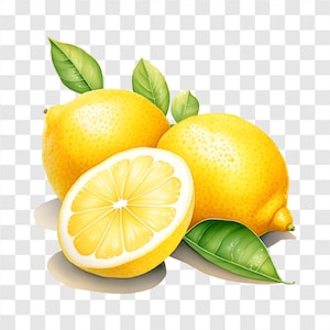 10 PNG Lemon, Fresh Citrus Clipart, Watercolor Clip Art, Instant Download, Commercial Use, Transparent Background