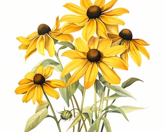 Black Eyed Susan Clipart, Yellow Flower Images, 10 Watercolor Clip Art, Printable JPGs, Instant Download, Commercial Use, Paper craft