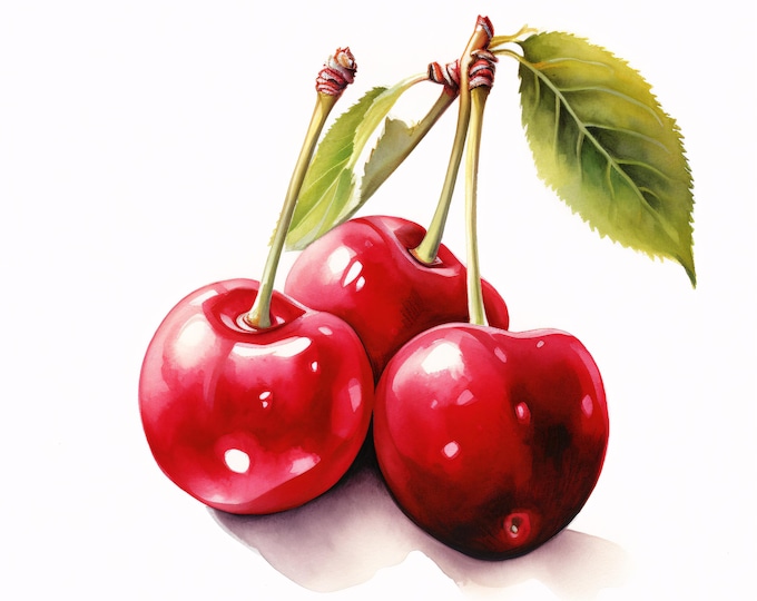 Watercolor Cherry Clipart: Summer Fruit JPG Images for Commercial Use (Instant Download 4096x4096px)