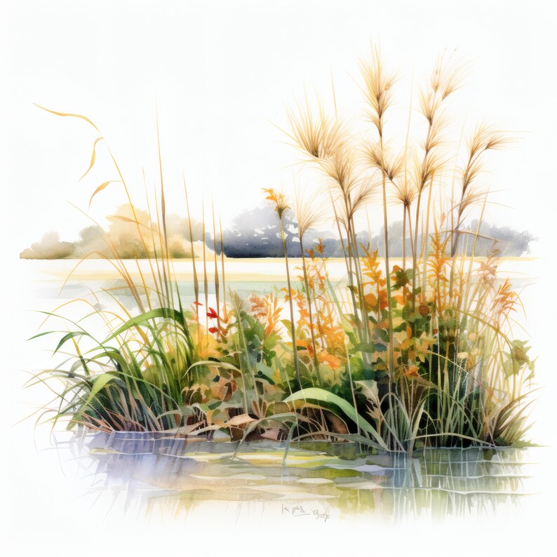 Watercolour Reeds River Reeds Clipart, Waterside Plant Images, 10 Watercolor Clip Art ...