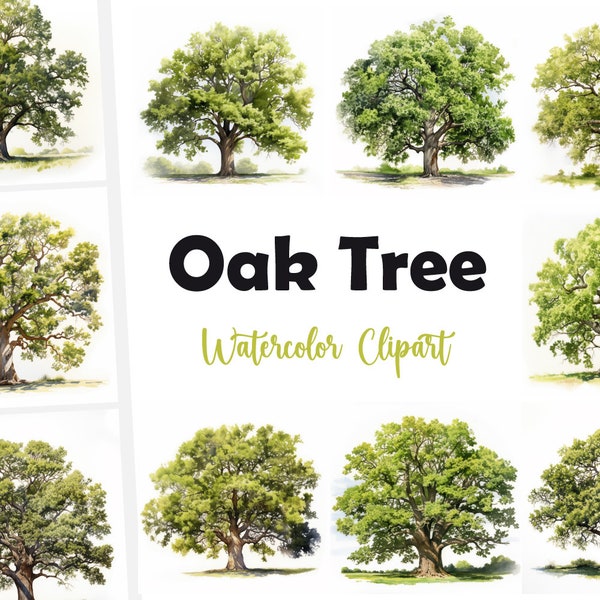 10 Oak Tree Clipart, Oak Tree JPG, Watercolor Clipart, High Quality JPGs, Digital Download, High Resolution, Commercial Use