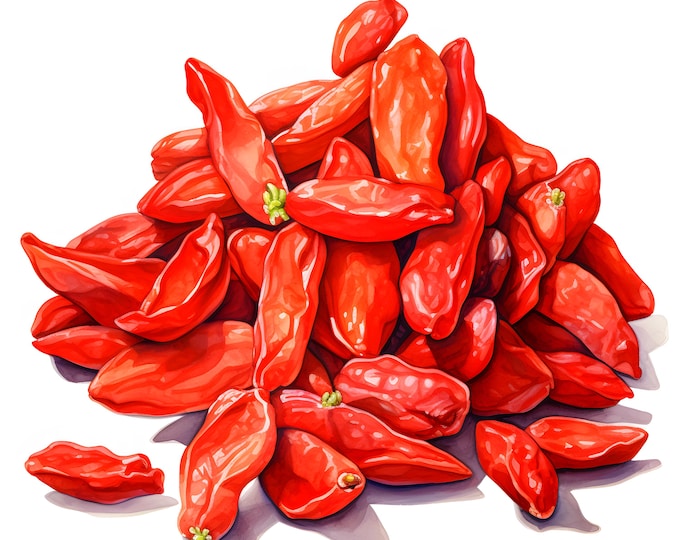 Goji Berry Clipart, Wolfberry Images, 10 Watercolor Clip Art, Printable JPGs, Instant Download, Commercial Use, Paper craft