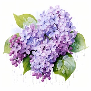 Clipart fleurs lilas, Images de bouquet lilas violet, 10 cliparts aquarelle, fichiers JPG imprimables, téléchargement immédiat, usage commercial, créations en papier