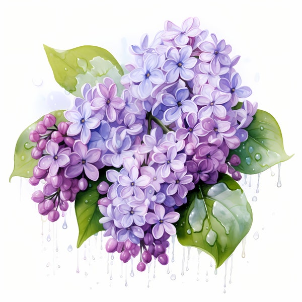 Lilac Flowers, Purple Lilac, Floral Bouquet - Watercolor Clipart Set with 10 JPG Images - Instant Download, Commercial Use, Digital Prints