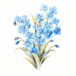 Clipart fleurs myosotis, bleu myosotis images, 10 cliparts aquarelle, fichiers JPG imprimables, téléchargement immédiat, usage commercial