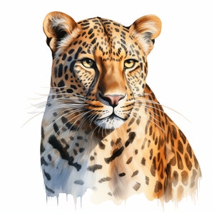 Watercolor Leopard Clipart: Printable Animal Images (Commercial Use JPGs, 4096x4096 px)