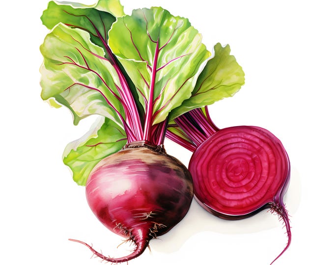 Beet Clipart, Beetroot Images, 10 Watercolor Clip Art, Printable JPGs, Instant Download, Commercial Use, Paper craft