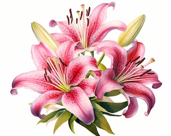 Clipart de lírio-estrela em aquarela: Imagens florais em JPG (download digital)