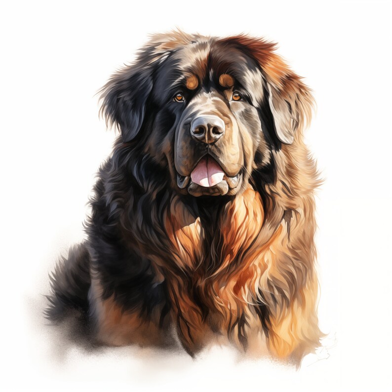 Tibetan Mastiff Clipart, Mastiff Dog Images, 10 Watercolor Clip Art ...