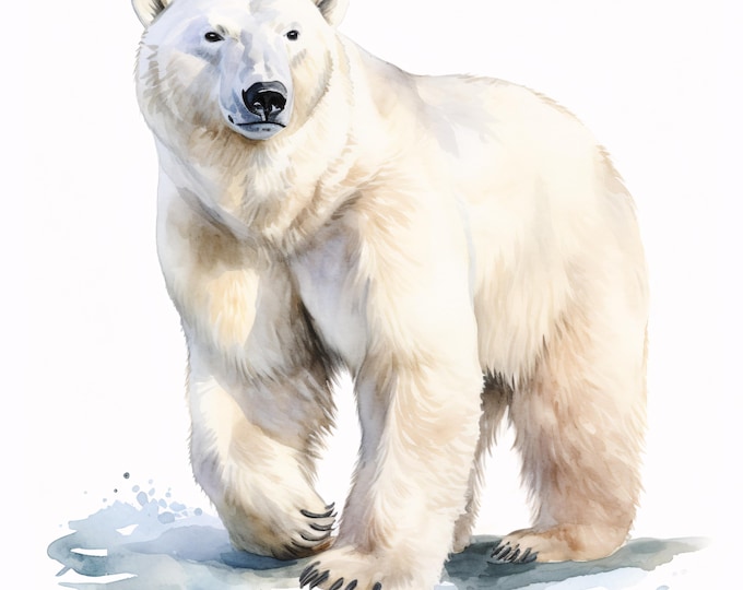 Polar Bear Clipart, Arctic Animal Images, 10 Watercolor Clip Art, Printable JPGs, Instant Download, Commercial Use, Paper craft