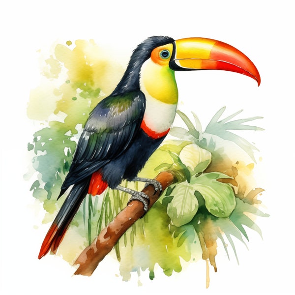10 Tropical Toucan, Cute Toucan JPG, Watercolor Clipart, Printable Image, Instant Download, Wall Art, Commercial Use