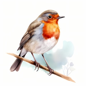Clipart Robin, Images de Robin d'hiver, 10 images clipart aquarelle, fichiers JPG imprimables, téléchargement immédiat, usage commercial, créations en papier