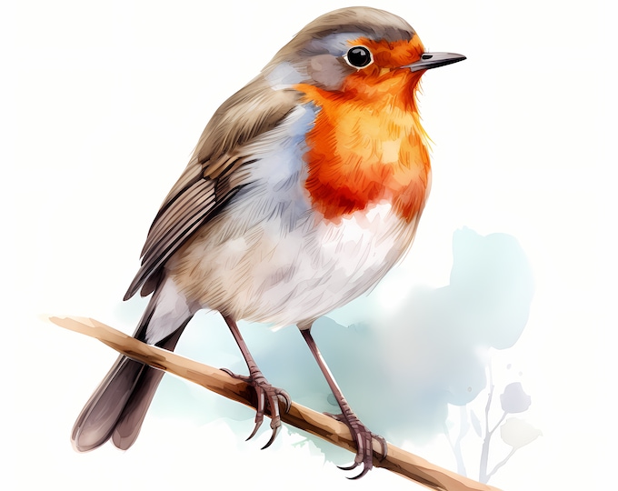 Robin Clipart, Winter Robin Images, 10 Watercolor Clip Art, Printable JPGs, Instant Download, Commercial Use, Paper craft