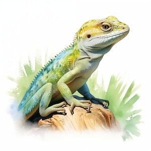 Watercolor Lizard Clipart: Reptile Images for Commercial Use (JPGs)